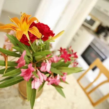 公寓 Wilma 沃迪切